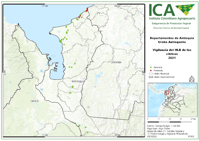 Foto-ICA-vigilancia-HLB-uraba.jpg