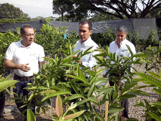 El ICA supervisa viveros registrados  y evalúa con expertos internacionales controles fitosanitarios para enfermedades de la producción frutícola nacional