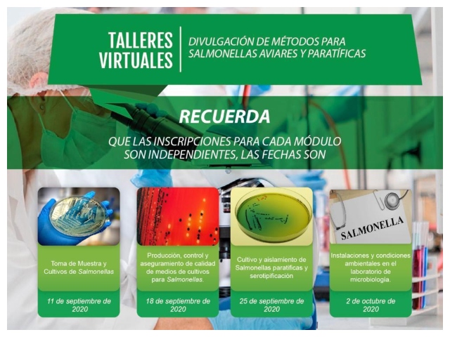 El ICA realiza evento virtual para la actualización del diagnóstico de Salmonellas aviares y paratíficas en aves