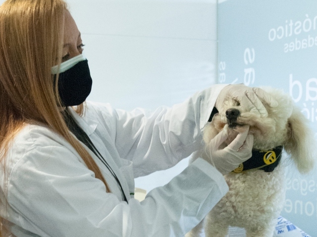 Inspección mascotas