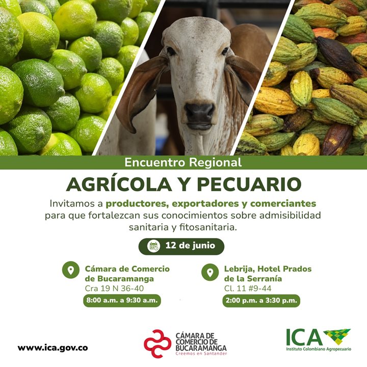 BUCARAMANGA.jpeg
