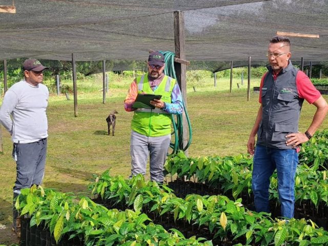 El departamento de Guainía se blinda con formación a productores y acompañamiento del ICA para cuidar sus cultivos agrícolas