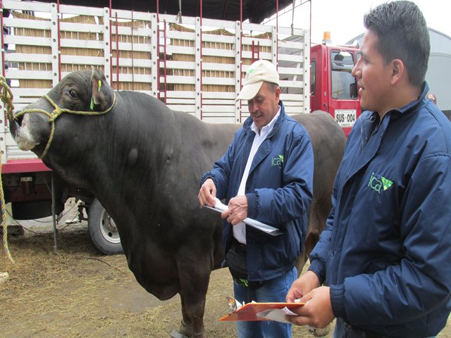  Minagricultura e ICA simplifican trámites para la expedición de guías de movilización de animales