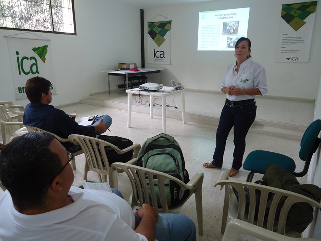 El ICA realizó comité técnico sobre plátano y banano con los directores de las Umata del Valle del Cauca