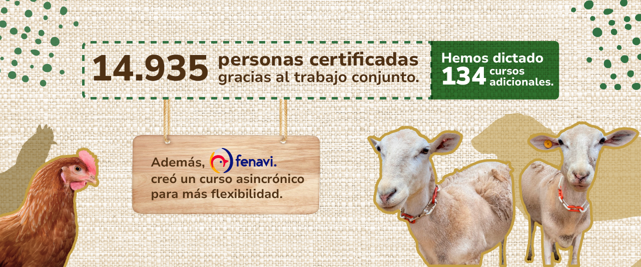 Personas certificadas