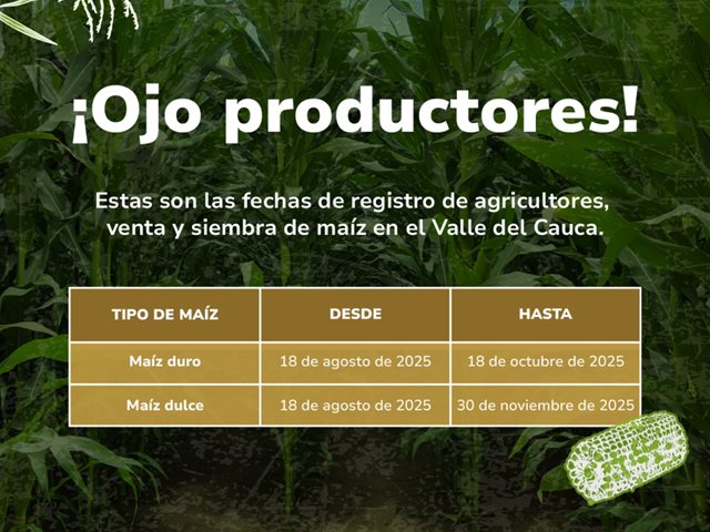 Fechas de siembra Valle del Cauca. 