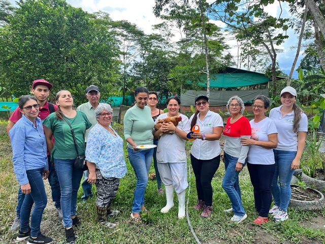 El ICA realizó taller sanitario aviar a asociación de productores víctimas el conflicto, en Meta
