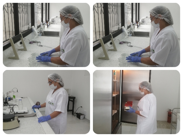 Laboratorio de Diagnóstico Veterinario de Caquetá. 