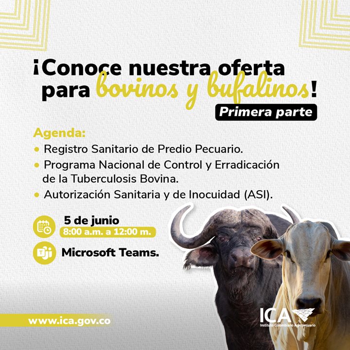 Oferta-institucional-en-Bovinos-y-Bufalinos-Redes1.jpg