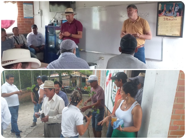 En Santander, los productores de caña de azúcar para panela son capacitados por el ICA