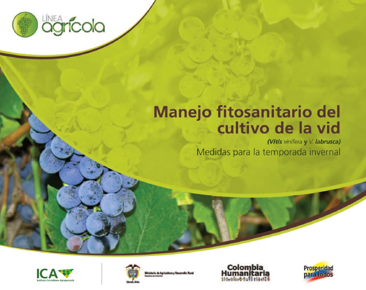 Imagen de Manejo fitosanitario del cultivo de la vid 