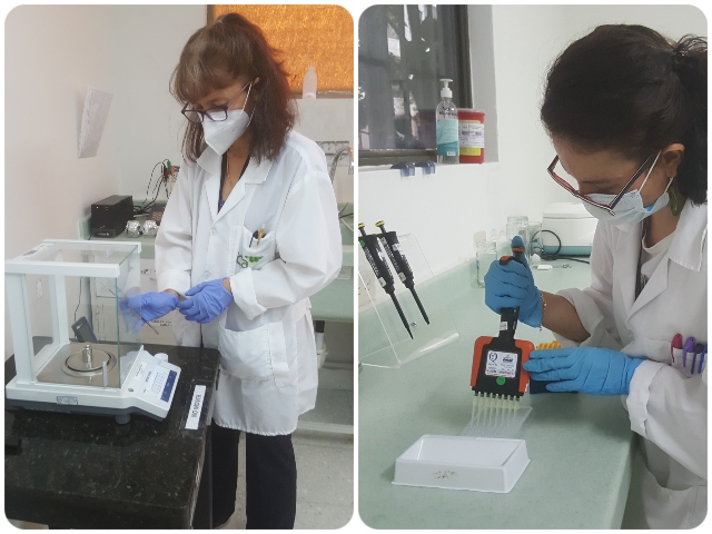 Laboratorio de Diagnóstico Fitosanitario – sede Bucaramanga 