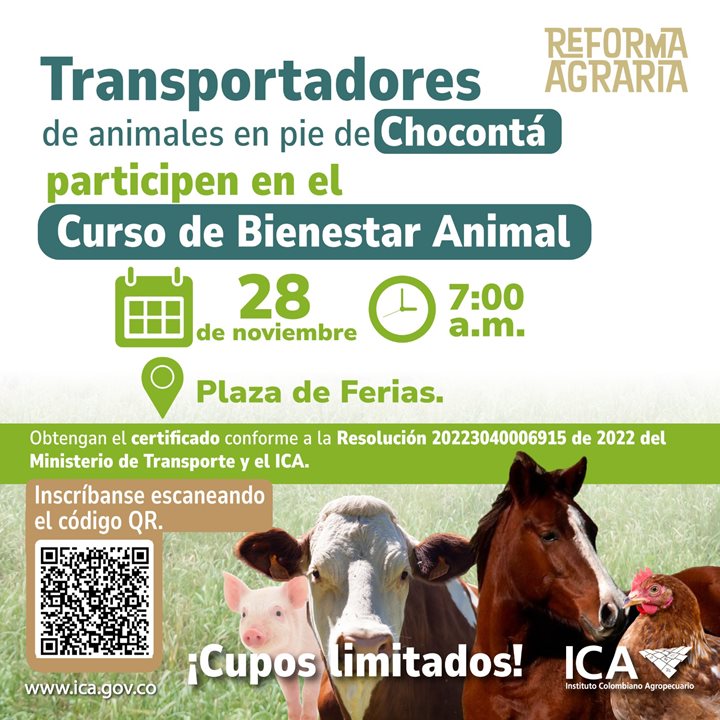 CURSOTRANSPORTADORESCHOCONTA.jpg