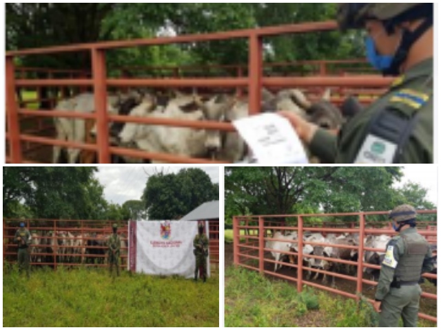 Golpe a la ilegalidad  agropecuaria. 
