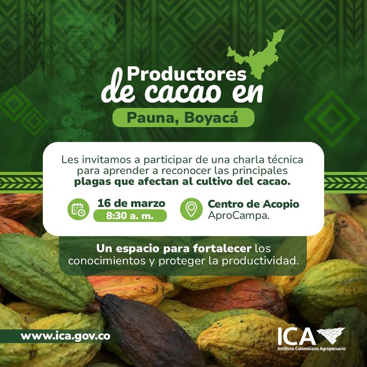 CACAO-PAUNA.jpeg