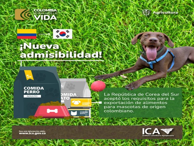 Nueva admisibilidad 