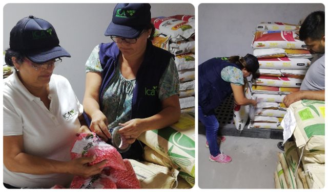 El ICA supervisó almacenes comercializadores  de semillas en Granada, Meta  