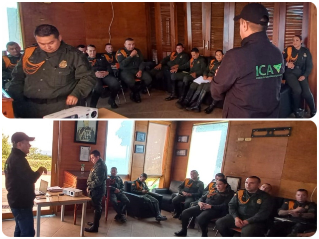 El ICA se reúne con la Policía Nacional para ejercer control a la movilización animal en Quindío 