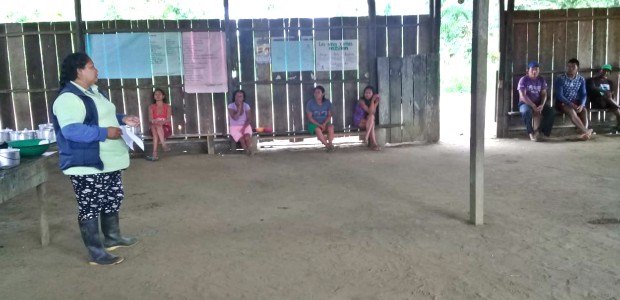 indigenas_2_capacitacion_ICA.jpg