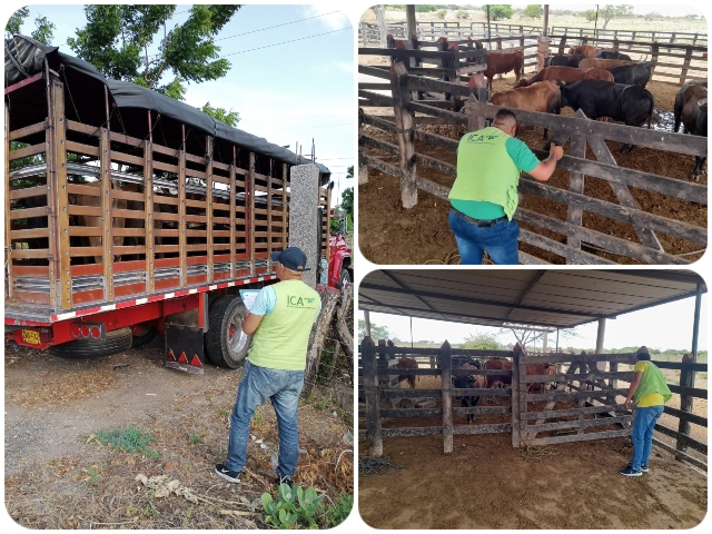 vigilancia y control a las lcorralejas en La Guajira