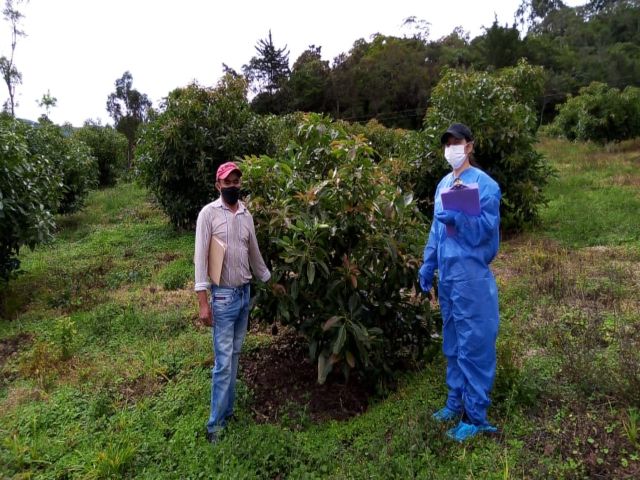 El ICA otorga registro exportador a 11 productores de Nariño 