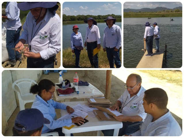 Visita técnica a establecimiento acuícola para certificación en bioseguridad en el Atlántico 