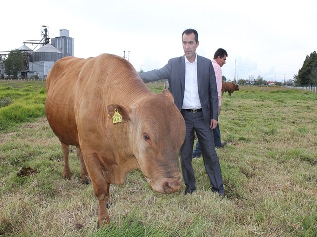 Perú y Colombia acuerdan certificación sanitaria para exportar semen bovino.