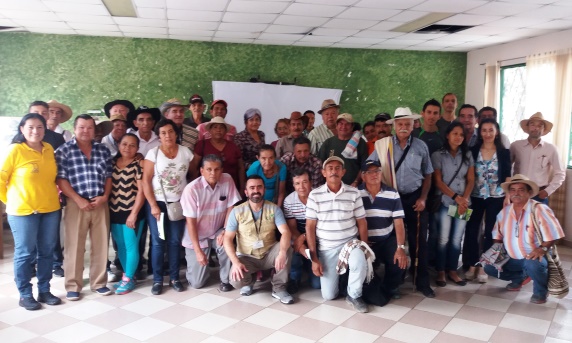 Agroempresarios de plátano y banano de San Francisco, Cundinamarca, trabajan para tecnificar sus cultivos