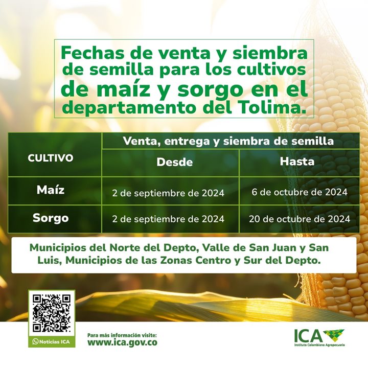 ICAFECHASTOLIMA.jpeg