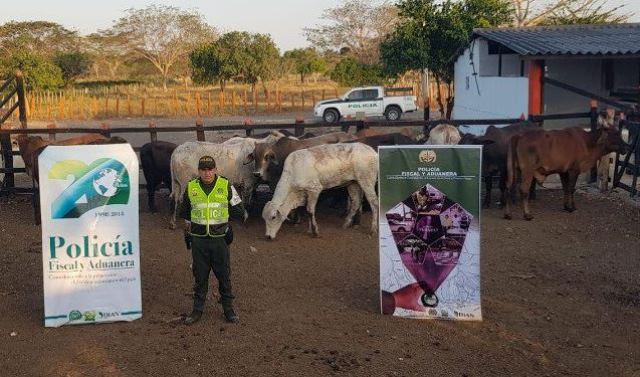 Cerca de $100 millones en productos agropecuarios de contrabando fueron incautados en zona de frontera