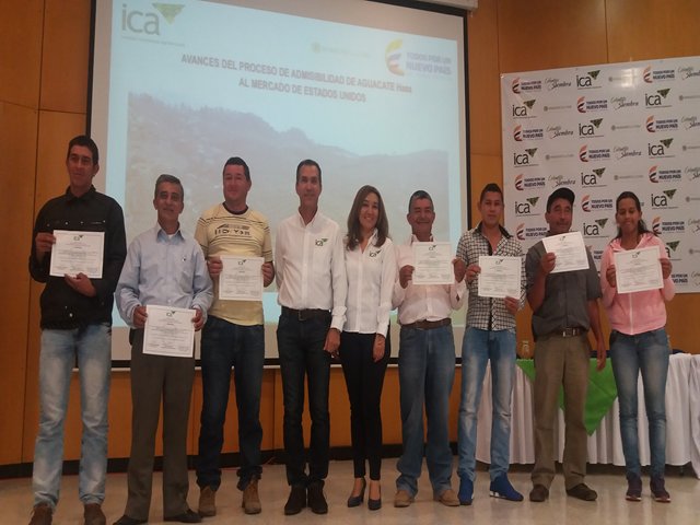El ICA lideró el curso “Aspectos fitosanitarios del cultivo de aguacate”