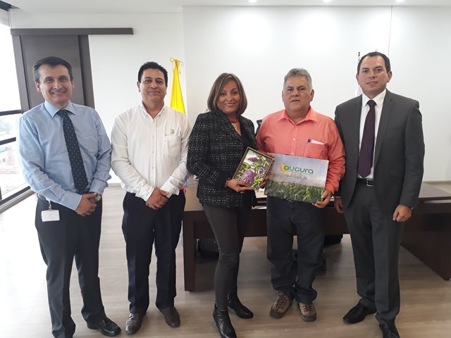 Productores, gremios bananeros y el ICA, en alianza por la competitividad del sector