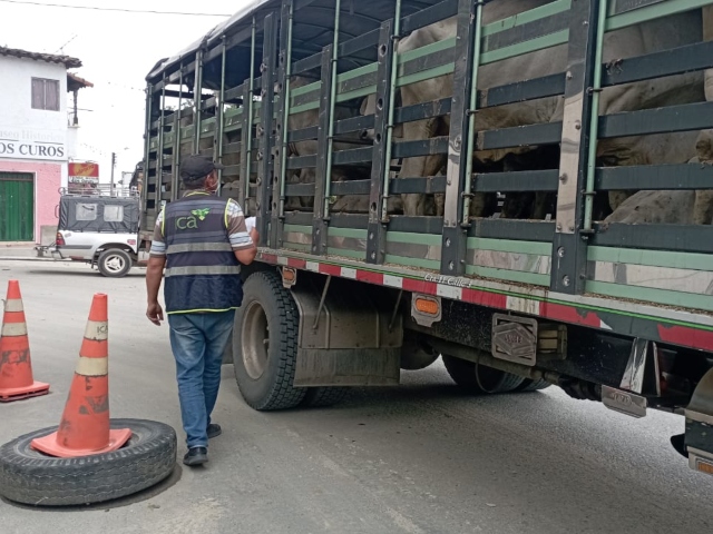 El ICA ejerce control sanitario a la movilización animal en Santander