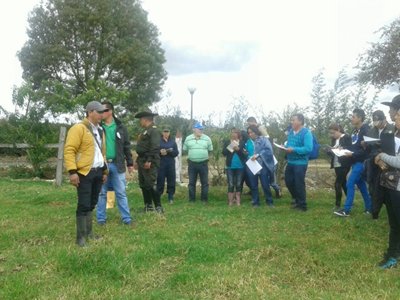 BOYACA-MEDIO-AMBIENTE2.jpg