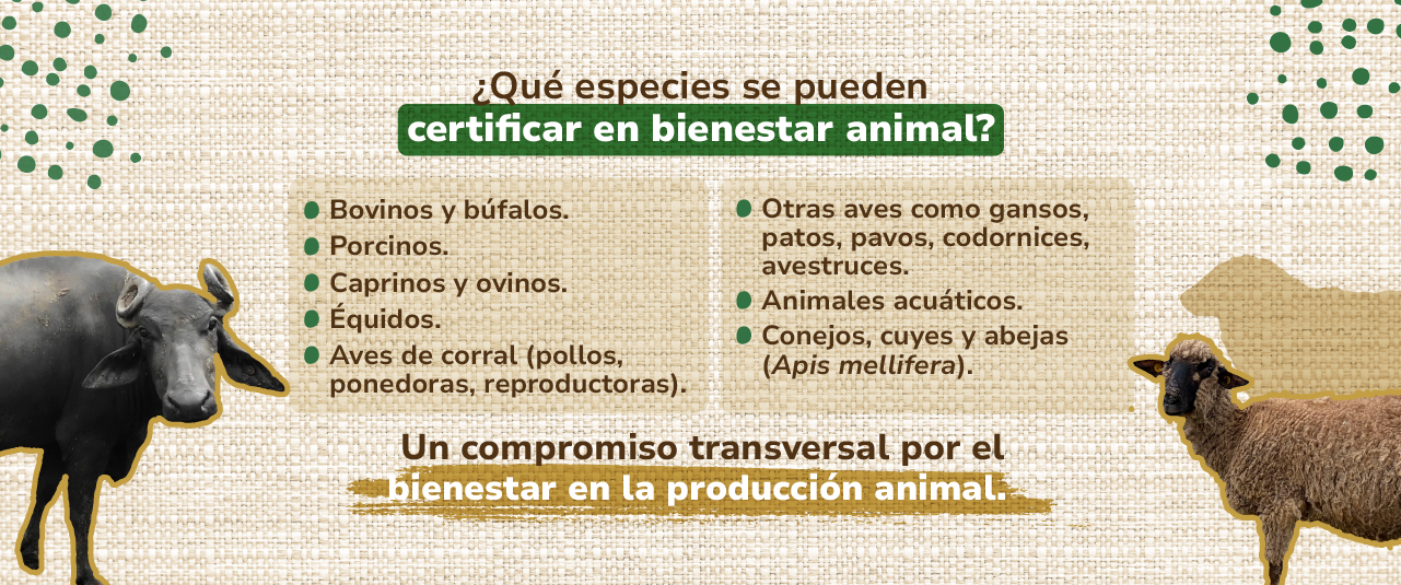 Especies que se pueden certificar