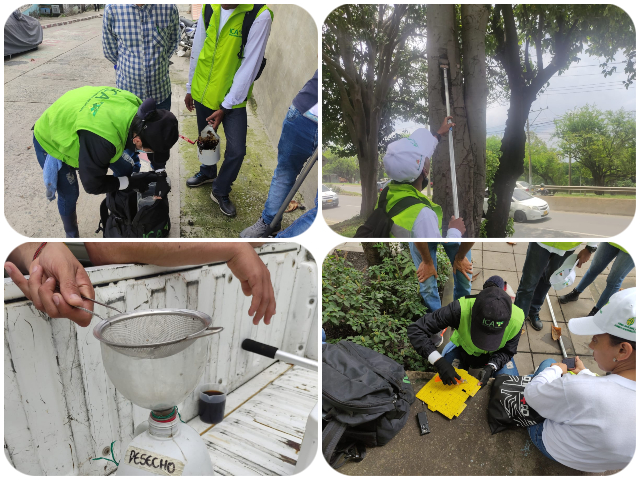 El ICA y Asohofrucol articulados para la prevención de plagas y enfermedades en el Valle del Cauca