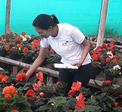 foto_archivo_ica_vivero.jpg