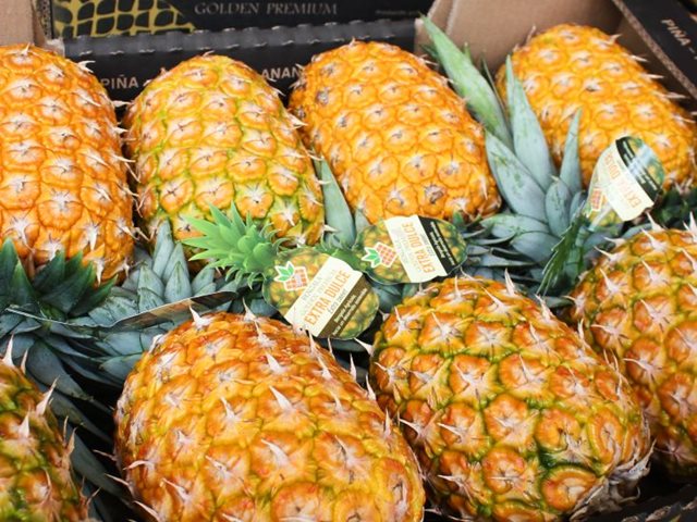 Piña colombiana de la variedad oro miel.