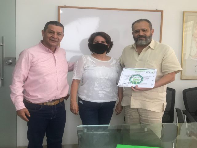 En Norte de Santander, el ICA certificó el primer predio productor de equinos en BPG