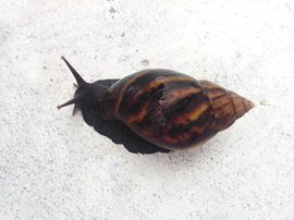 CC_125527.jpg