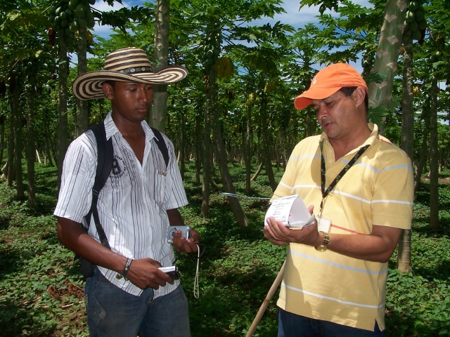 ICA ratifica que la Mosca Oriental de las Frutas no se encuentra en Colombia