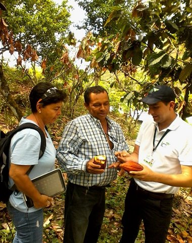 El ICA y gremio cacaotero trabajan para el mejoramiento de los cultivos en Cundinamarca