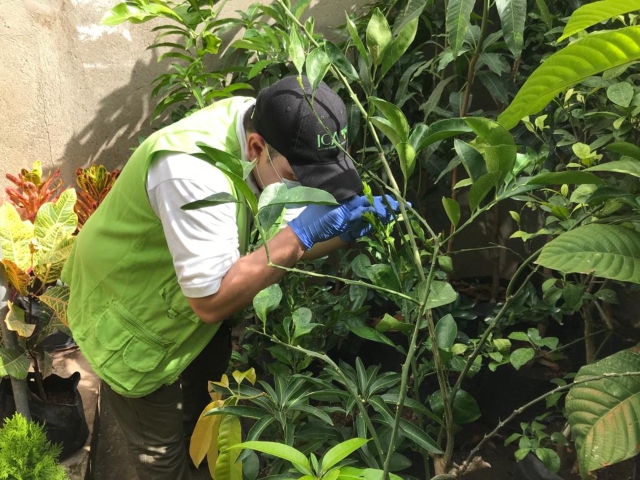 Inspección viveros 
