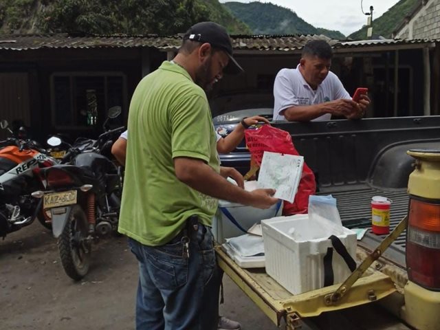 Vacunación équidos Valle del Cauca