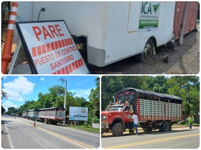 En La Guajira, control a la movilización de material vegetal 