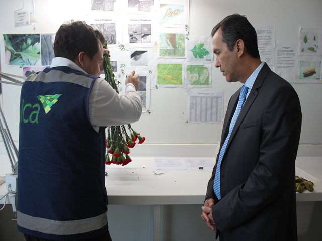 El ICA certifica la calidad fitosanitaria de las exportaciones de flores en el Aeropuerto El Dorado 
