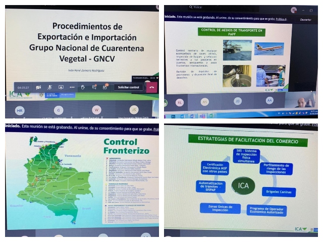 A más de 300 usuarios externos, el ICA socializó los procesos de importación y exportación de productos agropecuarios 
