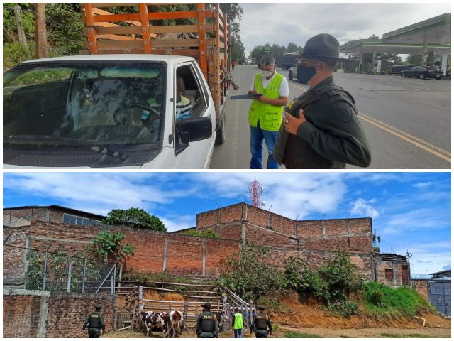  En Cauca, control a la movilización para proteger el estatus sanitario 