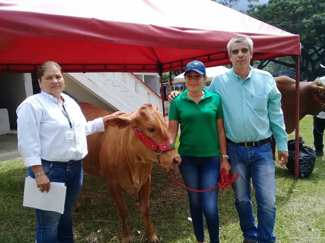 El ICA presente en la 50° Exposición Ganadera y segunda Feria Bovina de Ibagué 