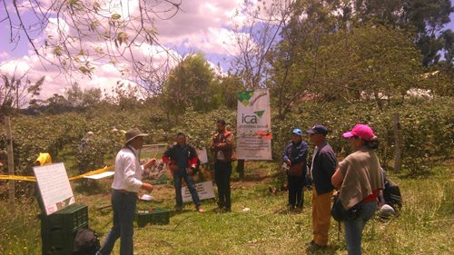 Bole-Boyaca-1.jpg